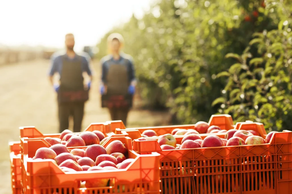 Indústria Farmacêutica Bebidas e Frutícolas